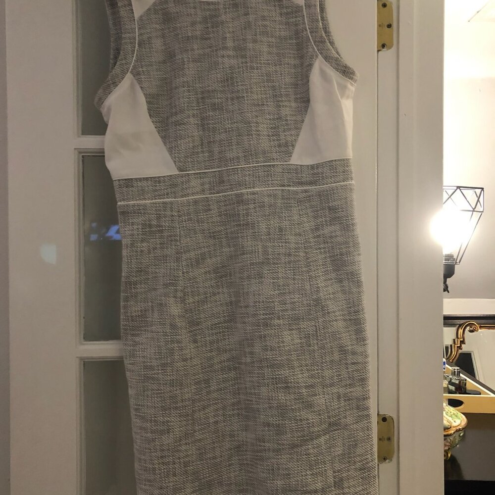 Club Monaco Dress